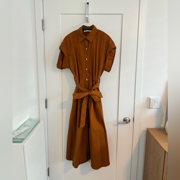 Zara | Midi Belted Shirt Dress with Gold Buttons - Picture 7 of 16